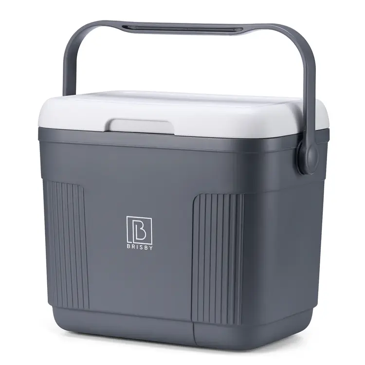 Koelbox - Lunchbox - 22L