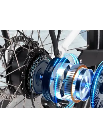 SAXXX Comfort Sport Easy dames ebike 7 sp 13Ah