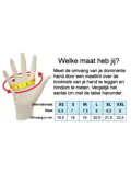 Tallin - Dames handschoenen - Leer - Touchfunctie