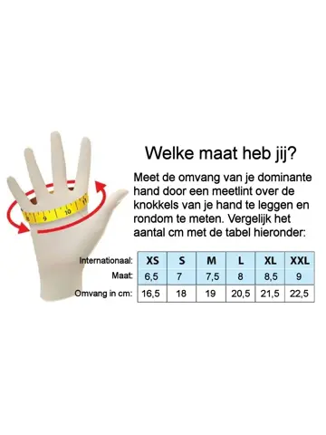 Tallin - Dames handschoenen - Leer - Touchfunctie