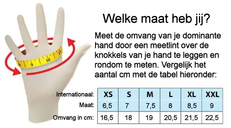 Tallin - Dames handschoenen - Leer - Touchfunctie