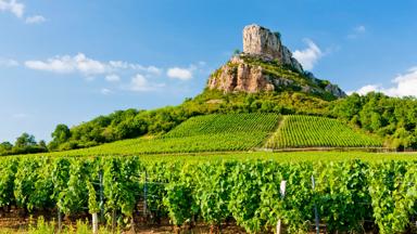 frankrijk_bourgogne_solutre-pouilly_solutre-rock_berg_wijnveld_wijnstok_zomer_getty