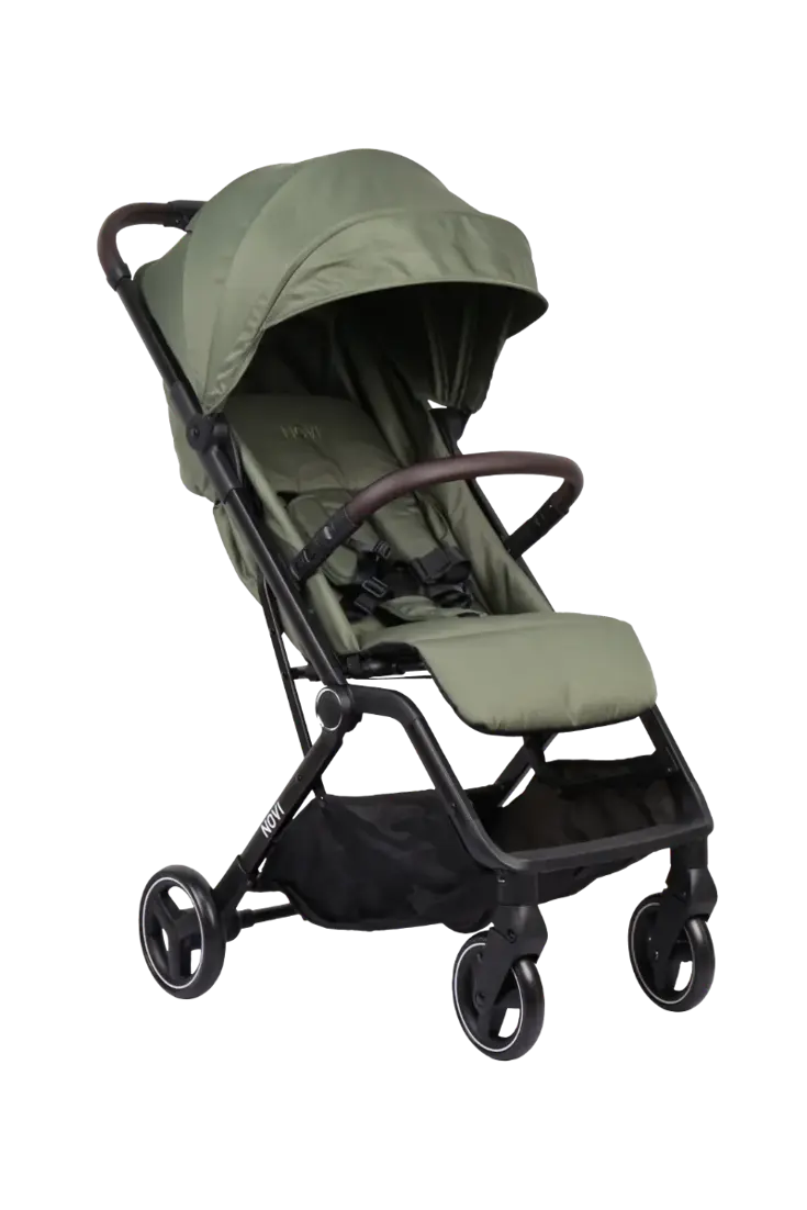 Cloud Go - Buggy