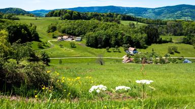 frankrijk_gand-est_vogezen_labaroche_heuvels_huizen_shutterstock_678151045