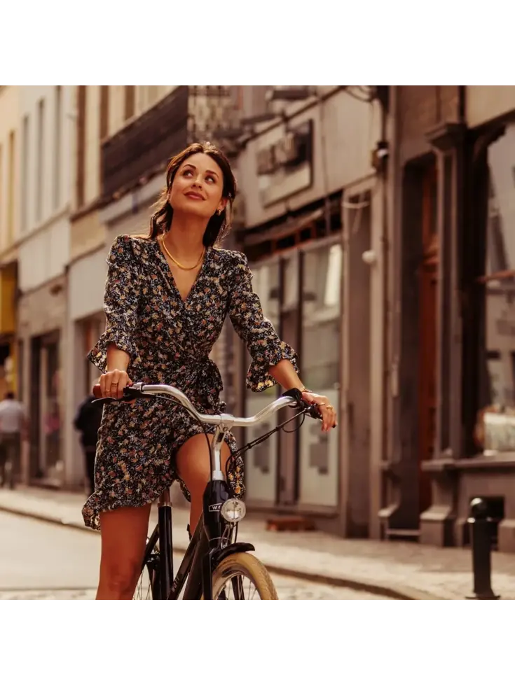 Dublin E-Bike Dames 54CM
