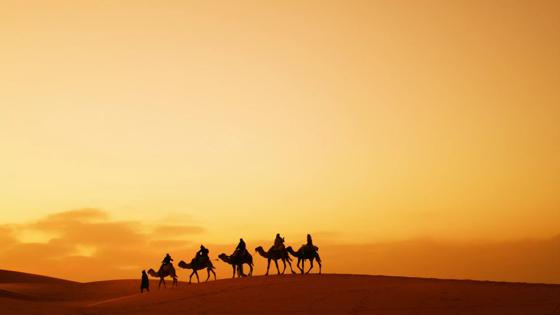 marokko_erg-chebbi-woestijn_merzouga_kameel_kamelentocht_mensen_zonsondergang_silhouette_zandheuvel_shutterstock