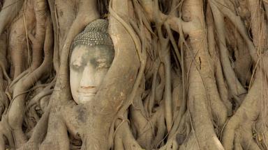 thailand_centraal-thailand_ayutthaya_oude-stad_boeddha-in-boomwortels_1_f.jpg