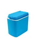 Koelbox 24L - Perfect voor Strand en Picknick