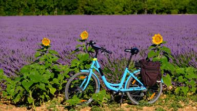 frankrijk_provence_fiets_ebike_lavendel_zonnebloem_GettyImages-587908936