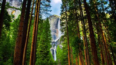 verenigde-staten_yosemite_waterval_natuur_bomen_b