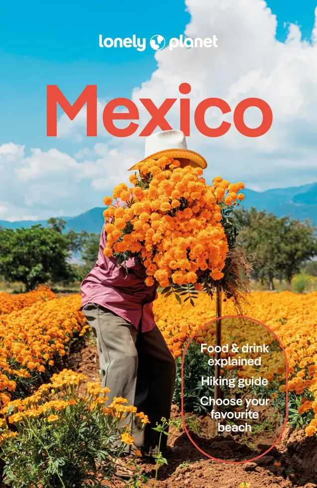 Reisgids Mexico 19