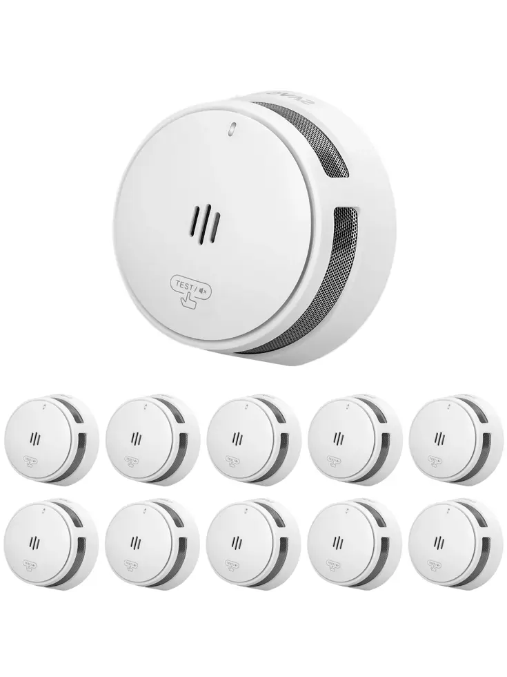 S10 Rookmelder 10-pack