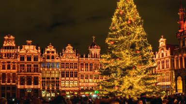 Christmas tree in the iconic "Grand Place" (literally "Big Square") in the centre of Brussels. Built mainly between 1696 and 1704 the square has beautiful façades, with a mixture of baroque and Renaissance architecture. During Christmas evening, there's a light festival at dusk, as well as christmas markets.