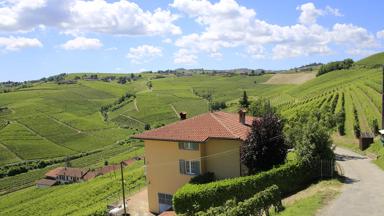 italie_piemonte_wijngaard_huis_heuvels_weg_pixabay