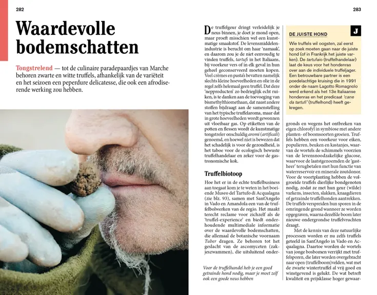 ANWB Ontdek reisgids Marche