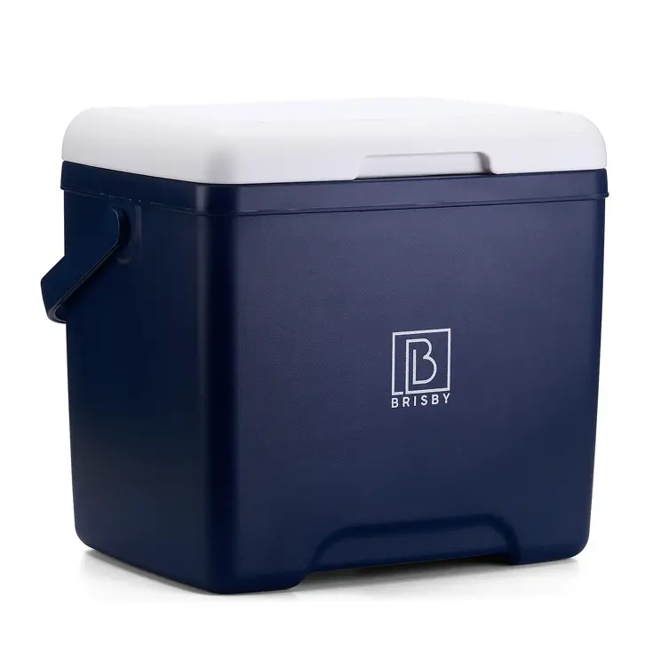 Koelbox - Lunchbox - 13L