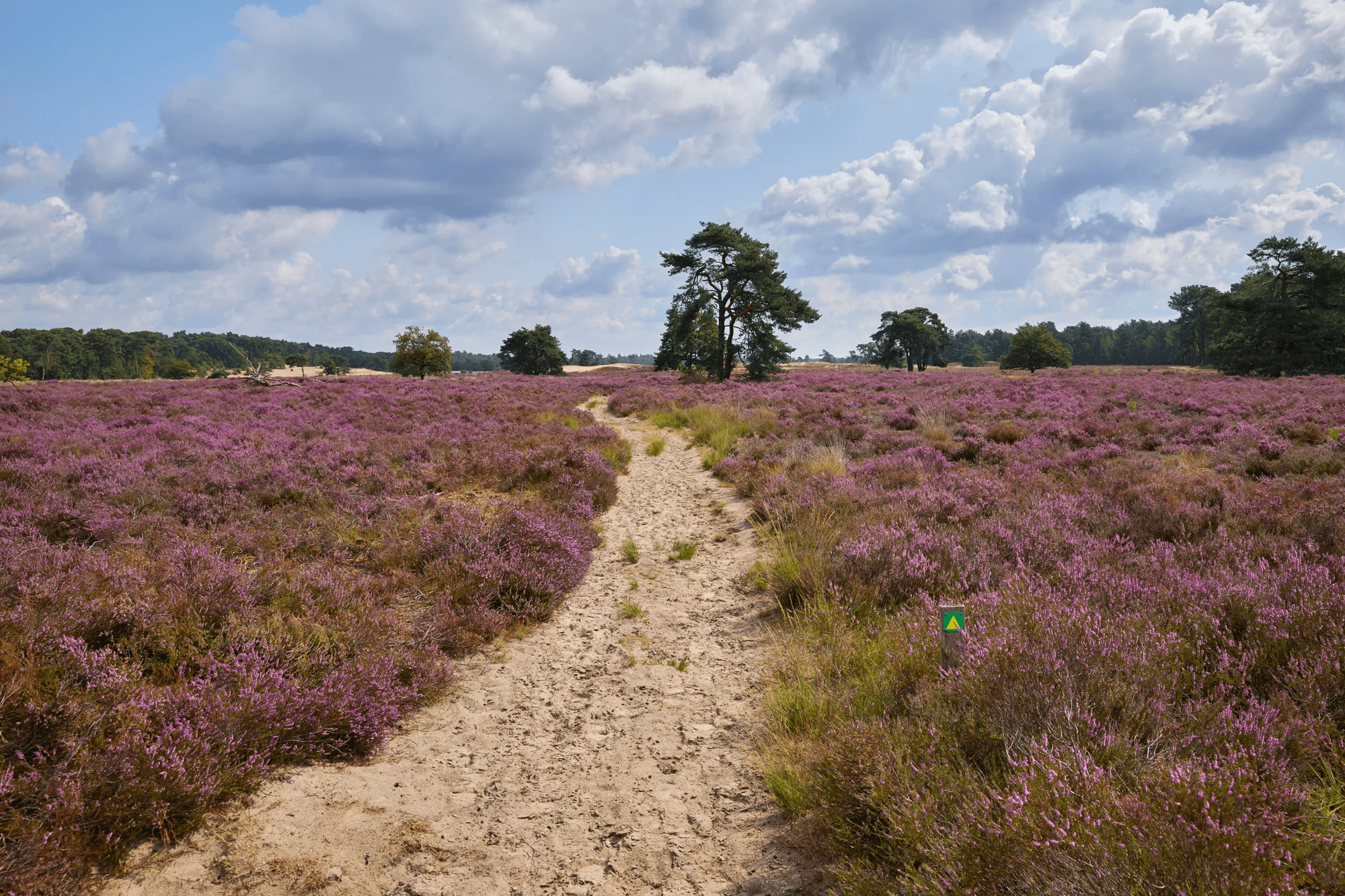 3-daags arrangement Drunense Duinen - Guesthouse Hotel Kaatsheuvel