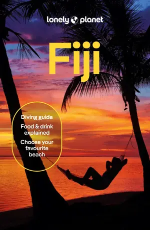 Reisgids Fiji 11