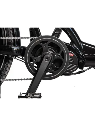 Cargobike SE DeLight midmotor bakfiets