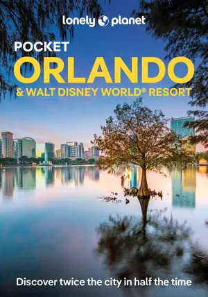 Pocket Orlando and Walt Disney World 4