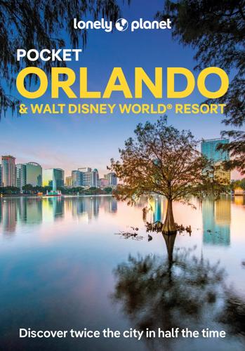 Pocket Orlando and Walt Disney World 4