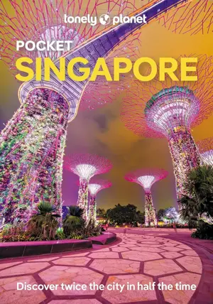 Reisgids Pocket Singapore 8