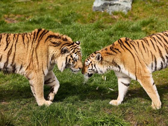Impressie van AquaZoo Leeuwarden