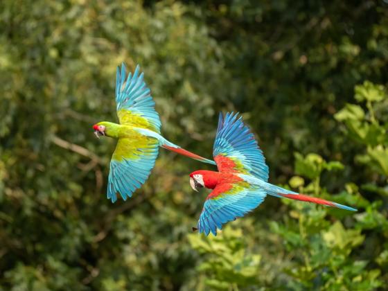 Impressie van Vogelpark Avifauna