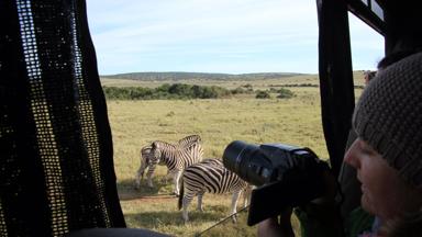 zuid-afrika_oost-kaap_addo-elephant-park_fotograferen_zebra_overlandtruck_f