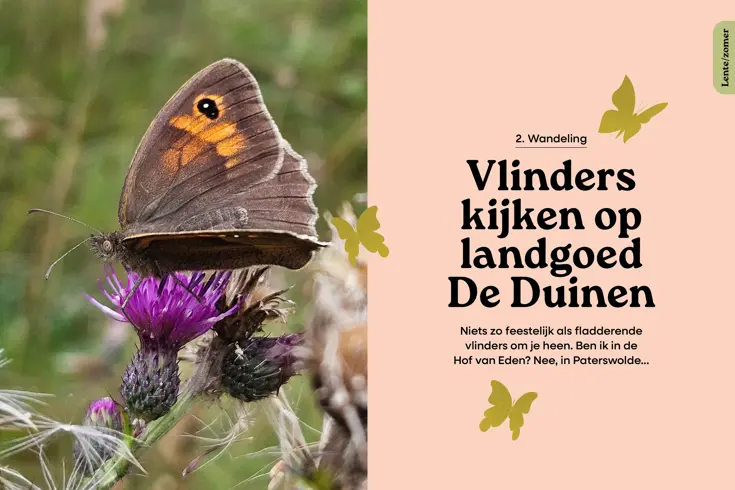 Het hele jaar door op stap