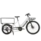 Alpa lichte transport ebike - Sum