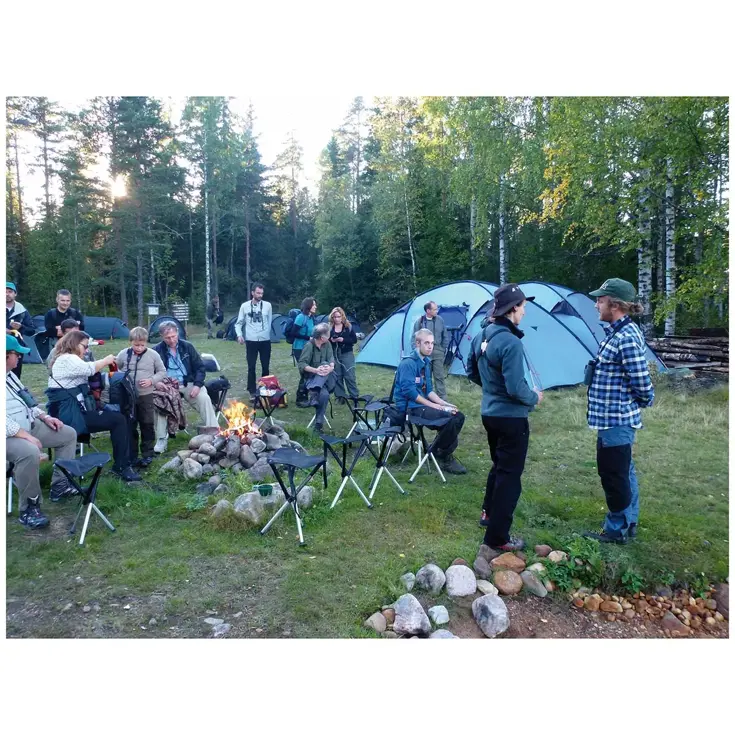 Walkstool Kruk Comfort 45cm Verstelbaar