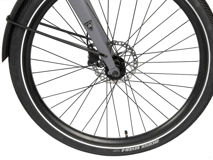 Extreme RM e-bike 17.5 Villette