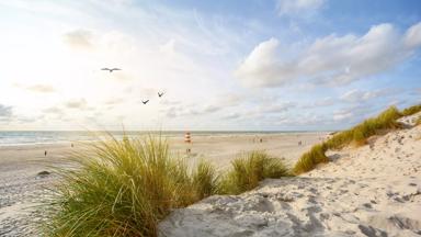 vakantiepark_denemarken_jutland_sondervig_lalandia-sondervig_strand_h