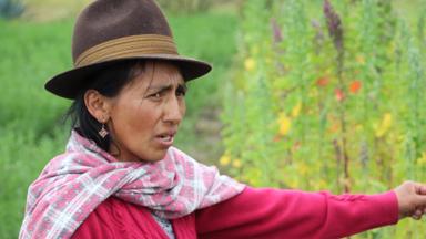 ecuador_algemeen_andes_local_gids_uitleg-over-quinoa_w_jpg