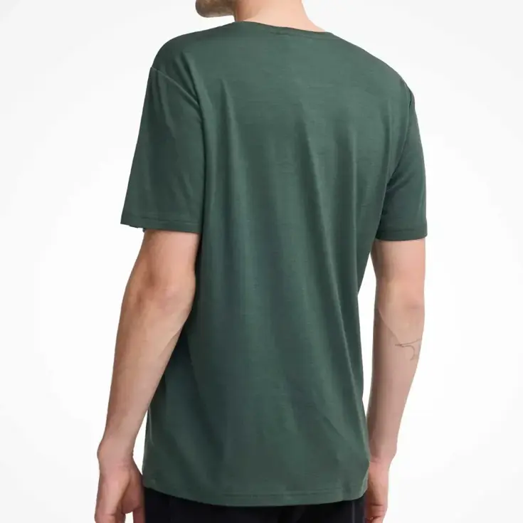 Heren t-shirt Ceasar Mountain