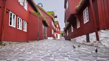 denemarken_faeroer-eilanden_torshavn_huizen-straat-vogels_shutterstock.jpg