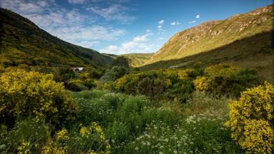 portugal_castelo-branco_serra-da-estrela_gletsjer-vallei_zezere_zonnig_berg_groen_planten_shutterstock