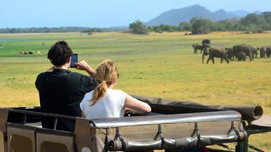 sri lanka_sigiriya_minneriya national park_safari_olifant_shutterstock(1)