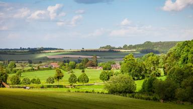 Green fields of Heuvelland in Dutch province of Limburg near Maastricht, The Netherlands