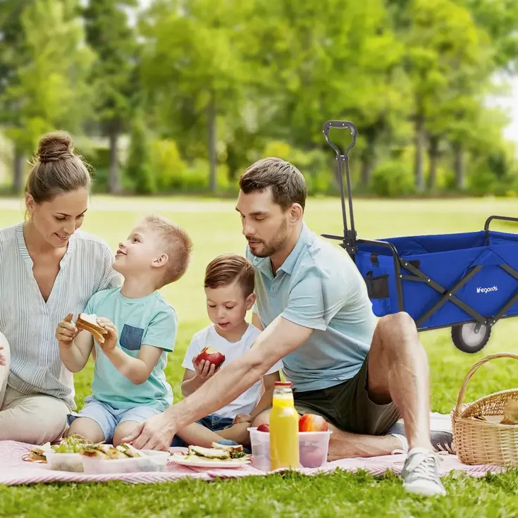 Bolderkar – 70KG – Blauw