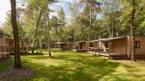 nederland_noord_brabant_hilvarenbeek_lake_resort_beekse_bergen_forest_cabin (7)