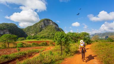 cuba_pinar-del-rio-province_vinales-national-park_unesco_nationaal-park_paard_ruiter_vrouw_toerist_shutterstock