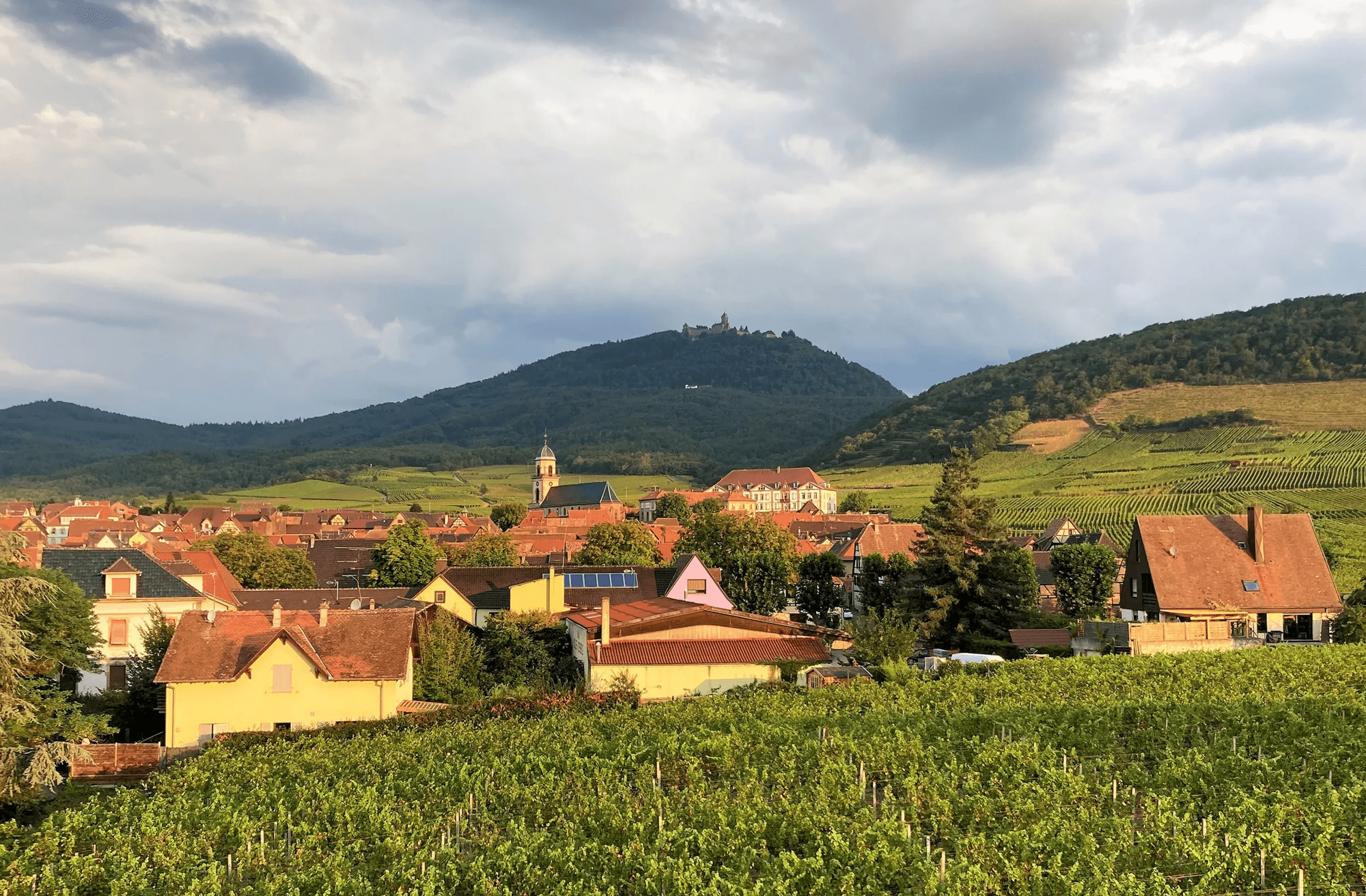 4-, 7-daagse autovakantie Route des Vins d'Alsace - Hotel Munsch afbeelding