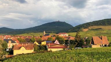 hotel_frankrijk_elzas_saint_hippolyte_hotel_munsch_uitzicht1_f