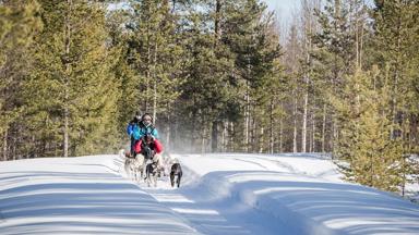 finland _fins-lapland_levi-huskysledetocht1