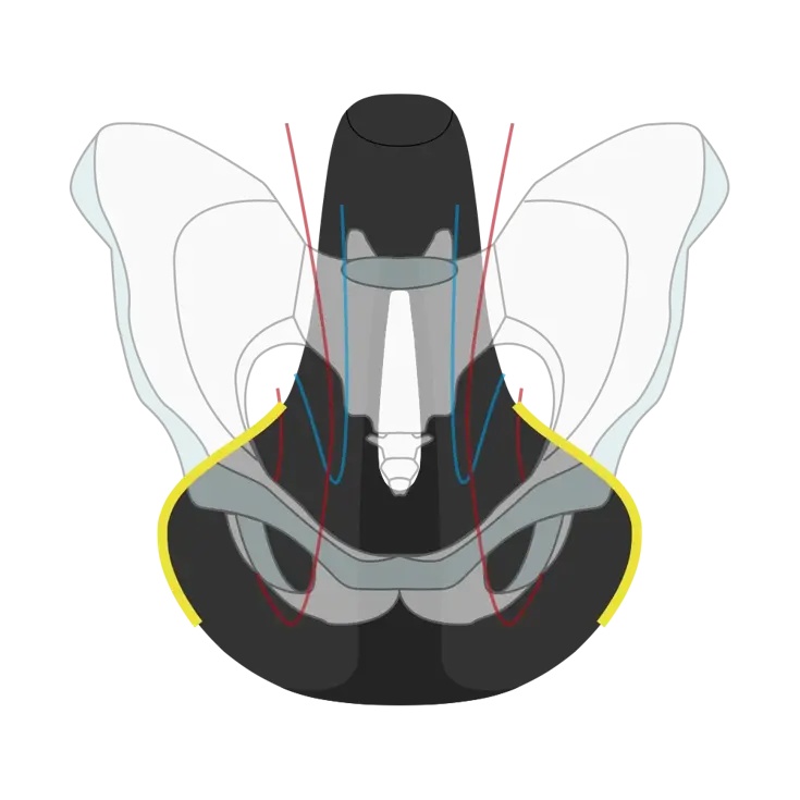 Wittkop Fietszadel Twin Medicus 3.0