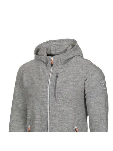 Vest Titus Hoodie heren