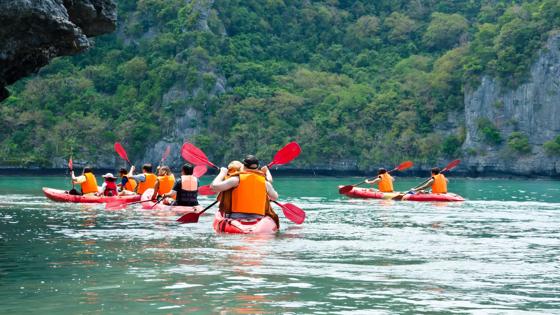 Alleen voor online gebruik en business line Reizen.