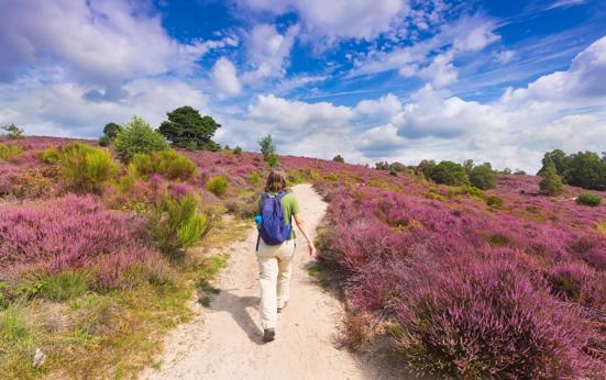 Meer ruimte voor recreatie & toerisme in Gelderland